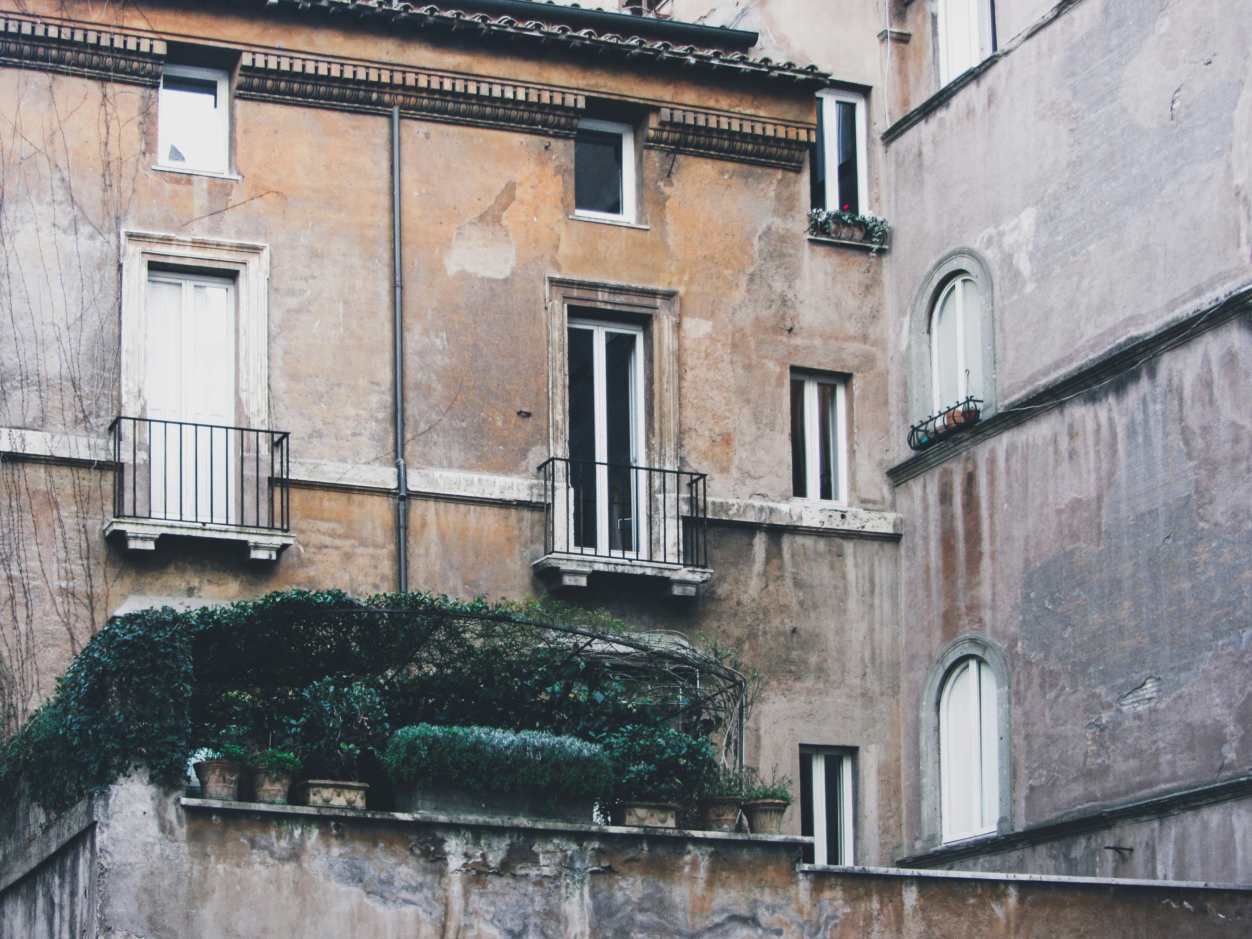 Photo by clovegrove7