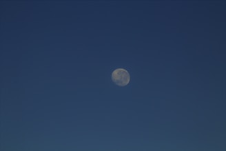 A clear, high-resolution view of the moon against a dark blue sky, with the moon's surface features visible.