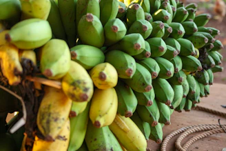 a bunch of green bananas hanging from a tree