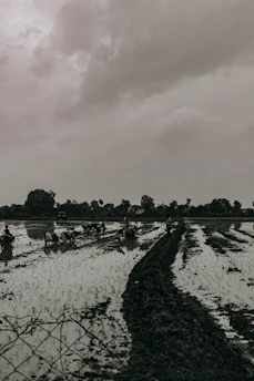 A vibrant rural Kerala village scene with farmers working together under a clear sky.