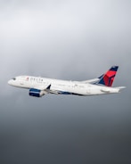 delta airlines