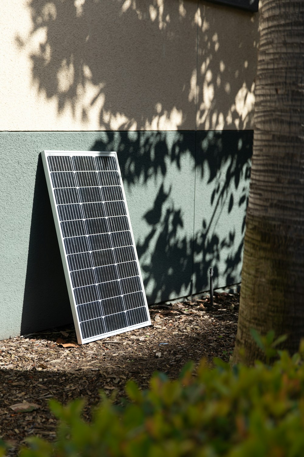 a solar panel sitting next to a tree