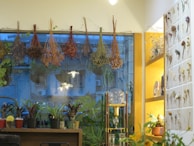 A cozy interior scene with bunches of dried herbs hanging by a window. Various potted plants are arranged on a wooden table, which is in front of a large window showing an urban exterior with residential buildings. The right side includes a warmly lit shelf displaying dried floral arrangements on cards. A decorative glass object sits prominently on the table, adding an aesthetic touch.
