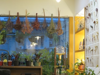 A cozy interior scene with bunches of dried herbs hanging by a window. Various potted plants are arranged on a wooden table, which is in front of a large window showing an urban exterior with residential buildings. The right side includes a warmly lit shelf displaying dried floral arrangements on cards. A decorative glass object sits prominently on the table, adding an aesthetic touch.