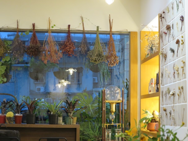 A cozy interior scene with bunches of dried herbs hanging by a window. Various potted plants are arranged on a wooden table, which is in front of a large window showing an urban exterior with residential buildings. The right side includes a warmly lit shelf displaying dried floral arrangements on cards. A decorative glass object sits prominently on the table, adding an aesthetic touch.