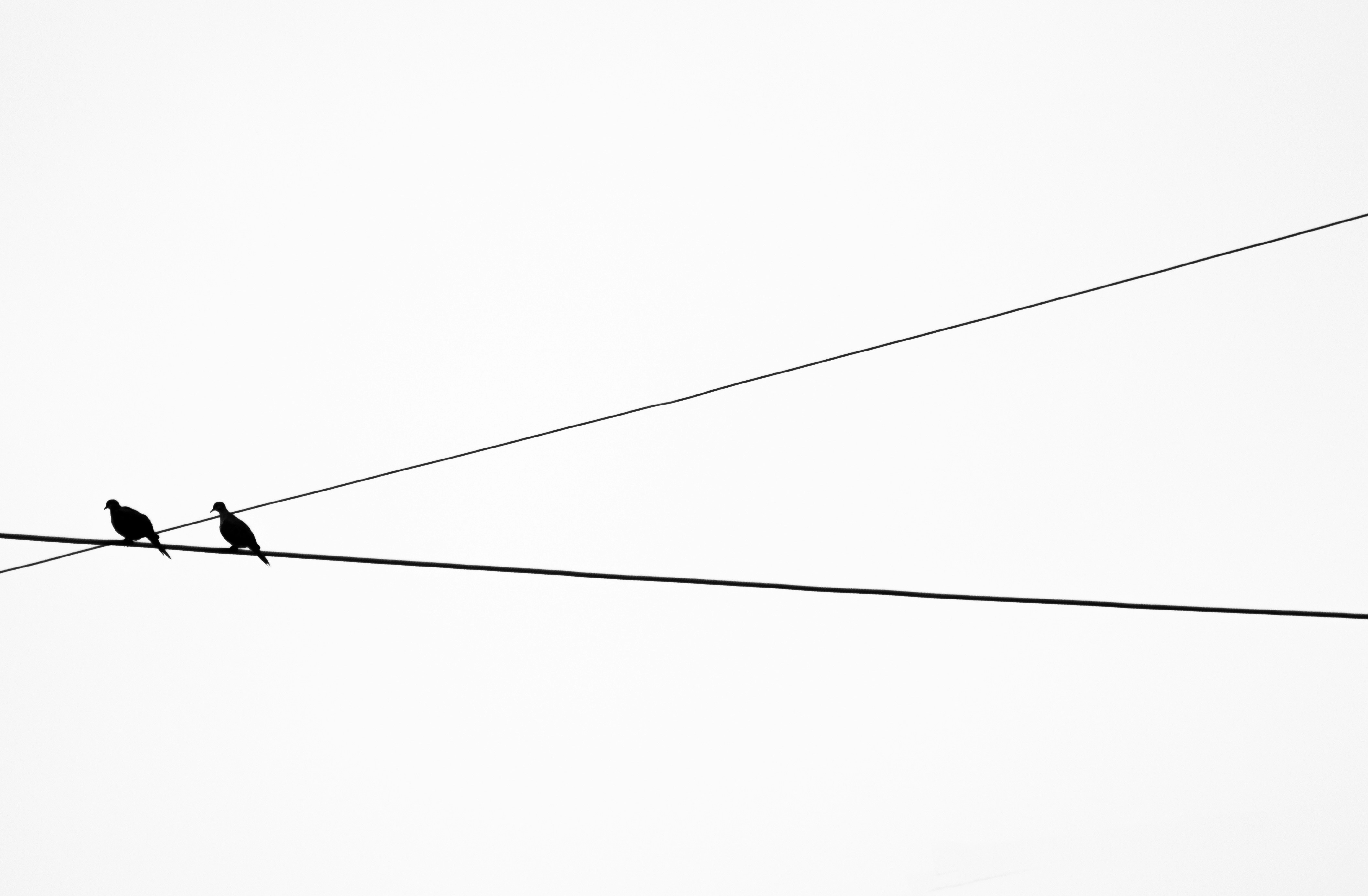 Photo by sinabahar76 on Unsplash