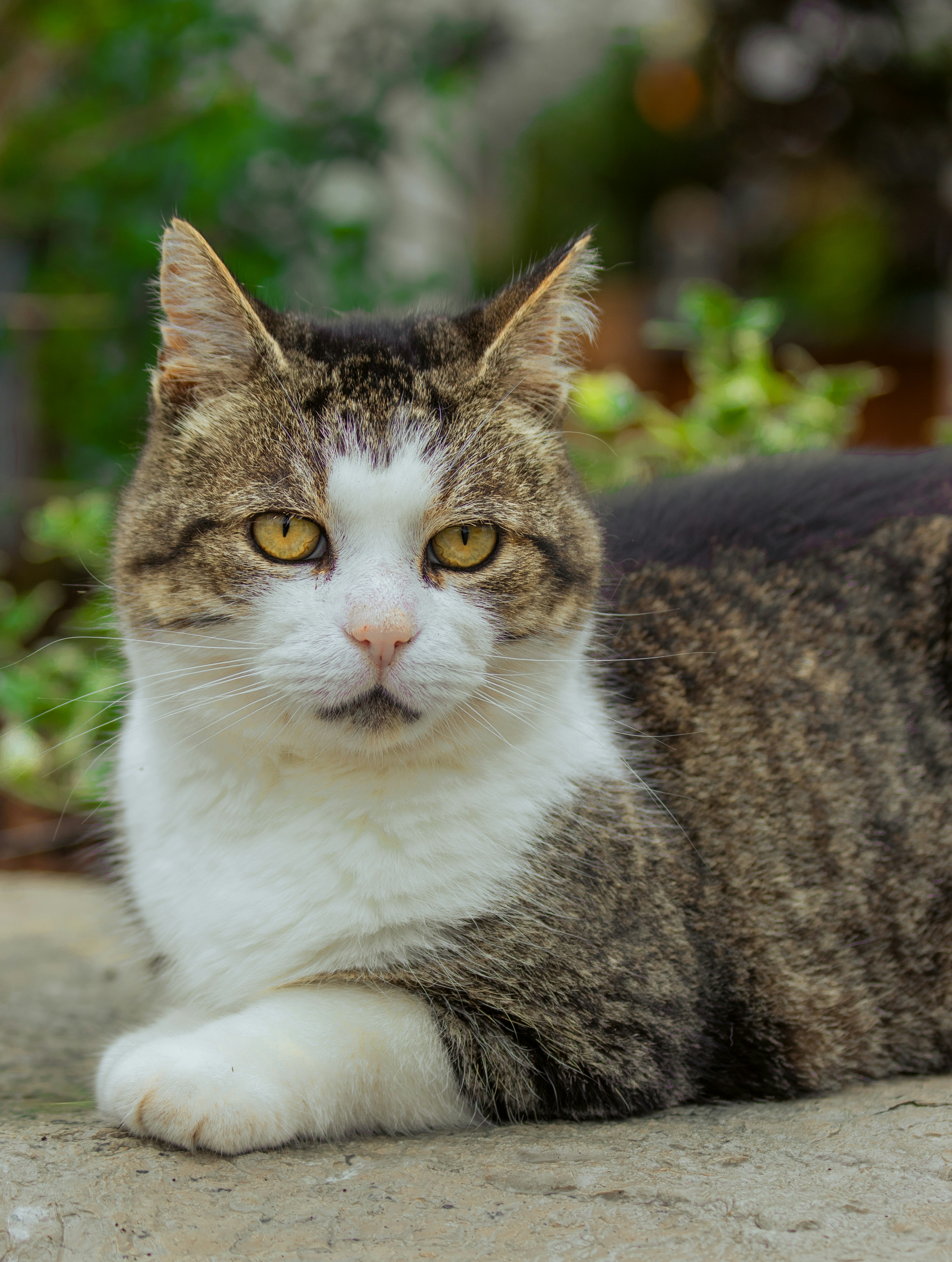 Photo by sinabahar76