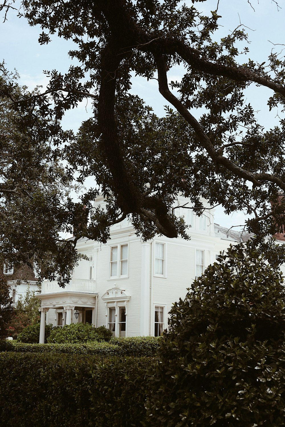 Una casa bianca con un grande albero di fronte