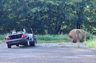 A damaged car sits abandoned on a gravel path surrounded by overgrown grass. In the background, a large, rusty metal cylinder lies on the ground near dense trees, suggesting neglect and disrepair.