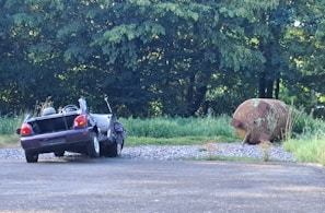 A damaged car sits abandoned on a gravel path surrounded by overgrown grass. In the background, a large, rusty metal cylinder lies on the ground near dense trees, suggesting neglect and disrepair.