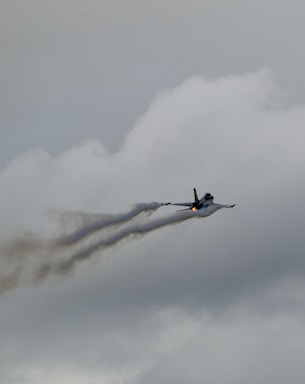 cost of f16