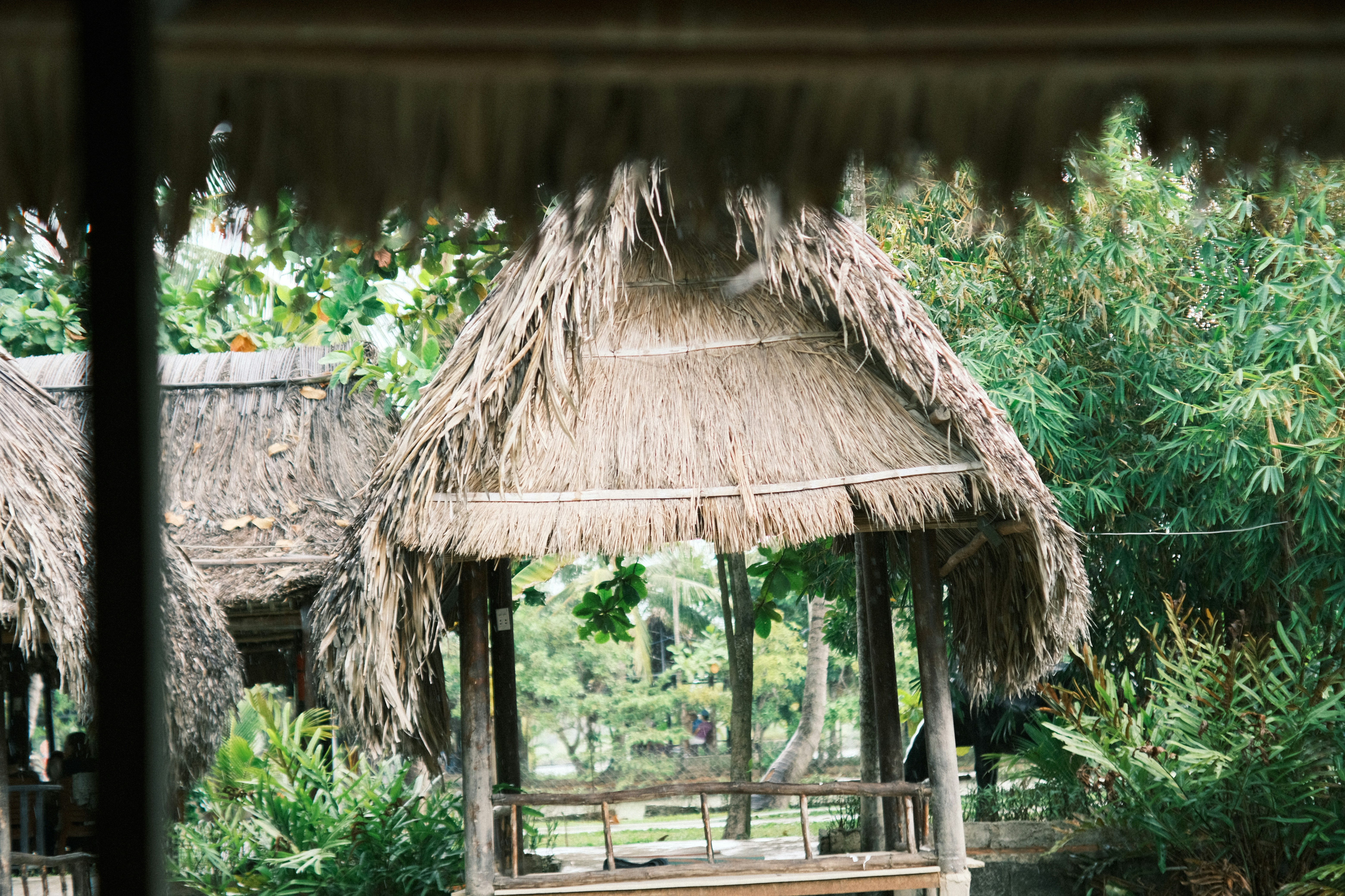 Photo by dvhoang2106