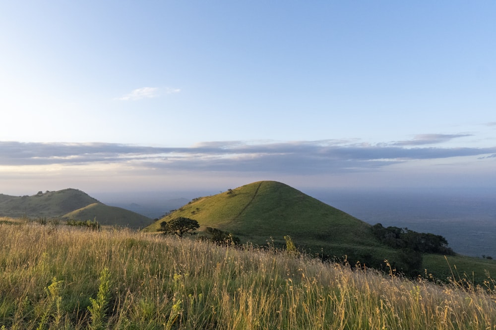 a grassy hill with a few hills in the background