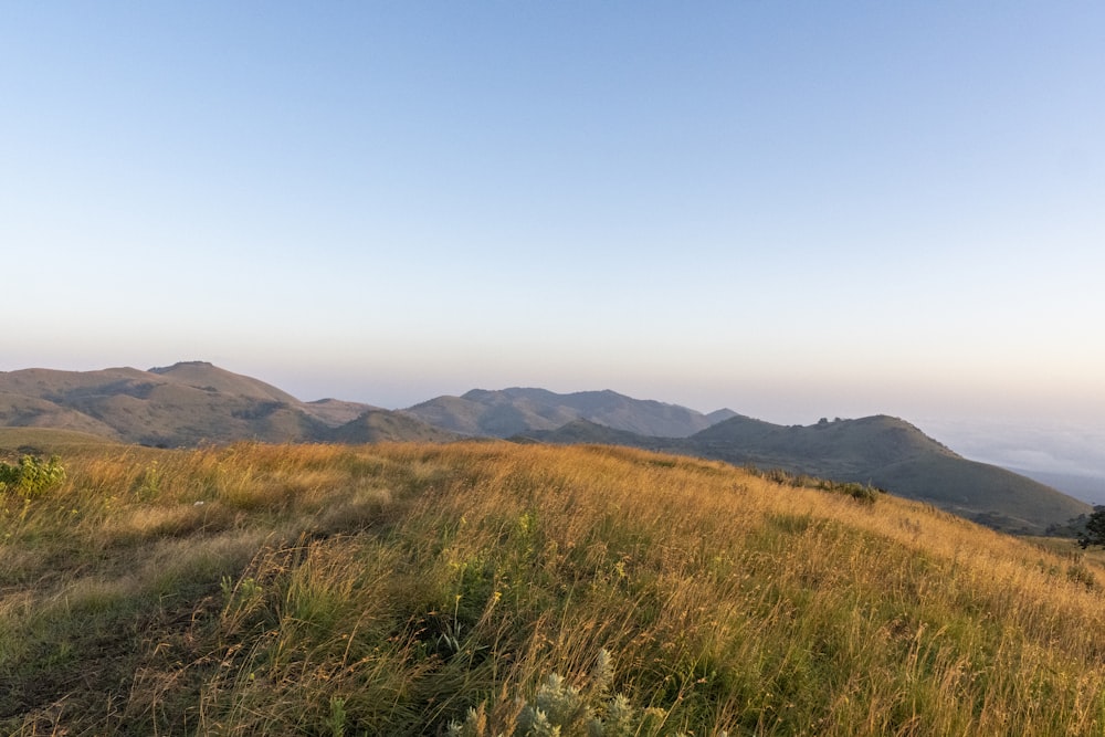 a grassy hill with mountains in the background