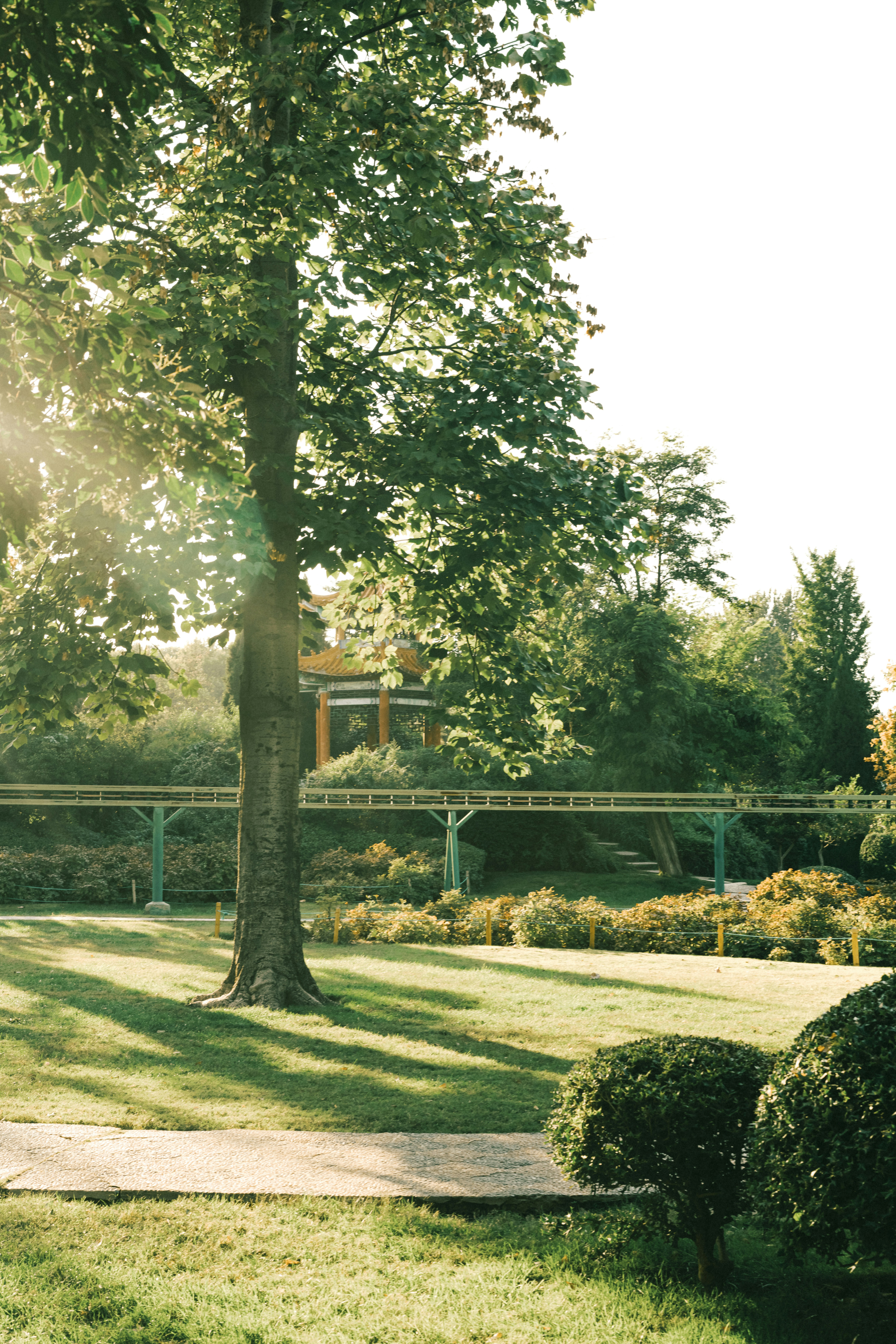 Photo by ooneiroslyl