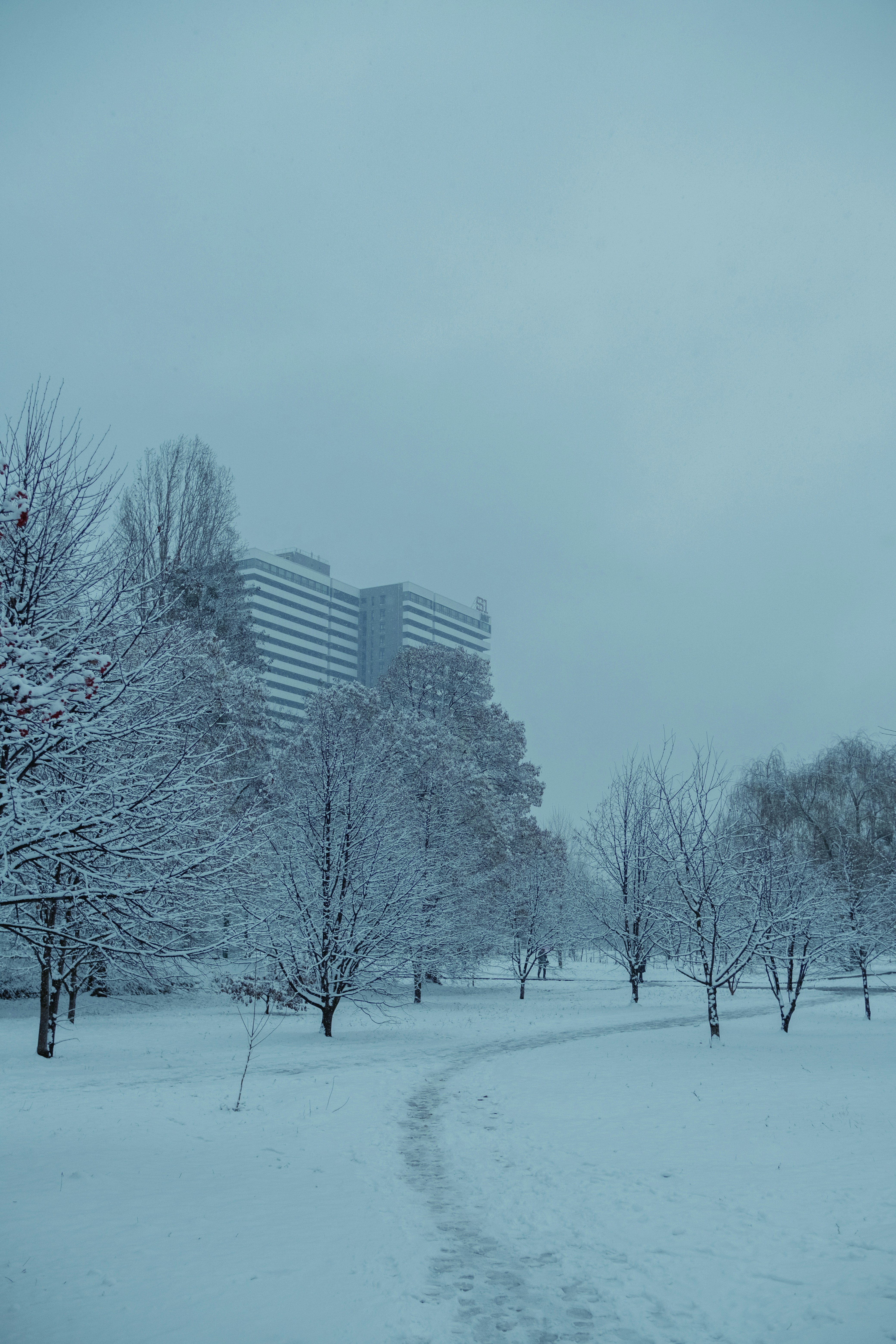 Photo by tobolenkoph