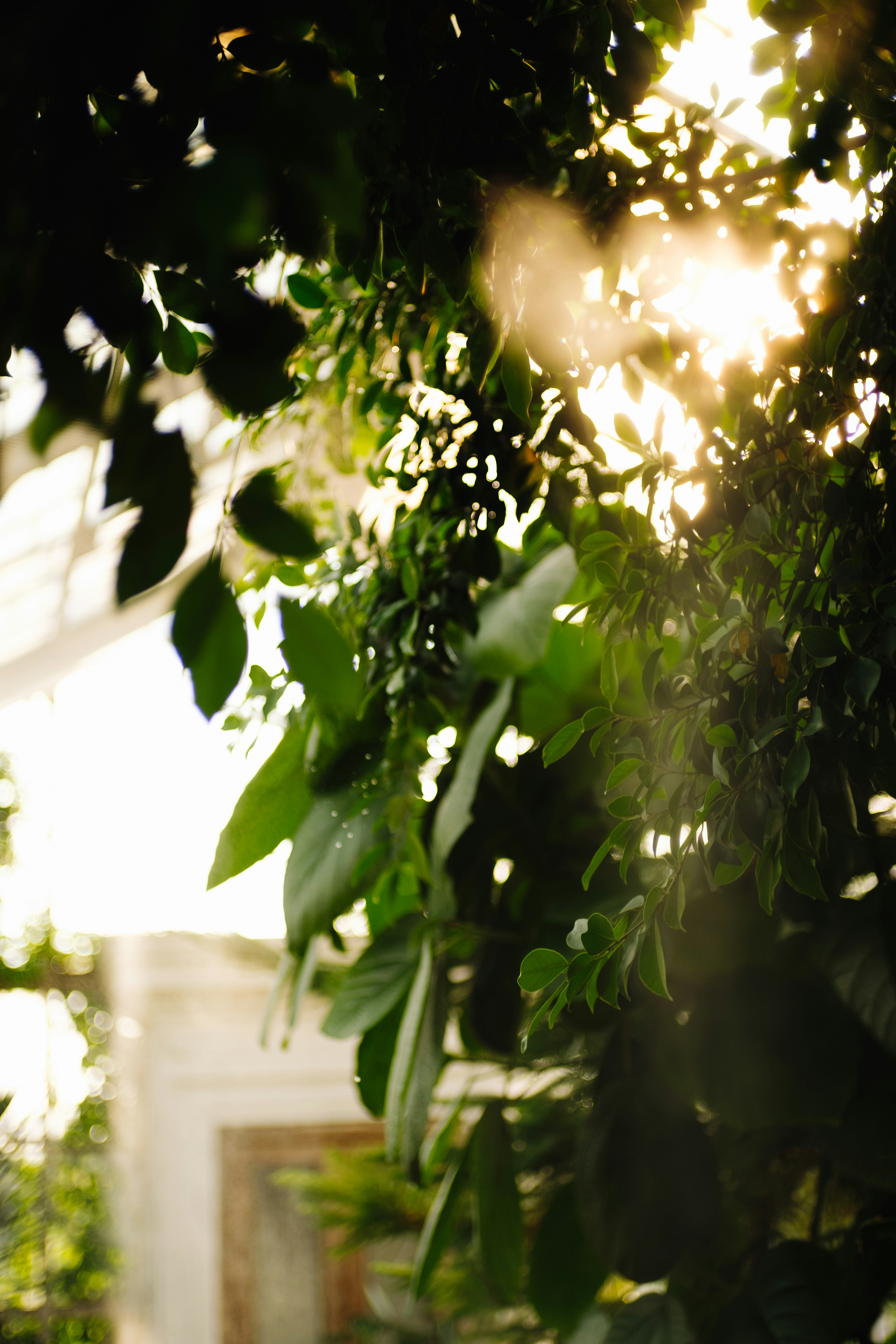 Photo by tobolenkoph