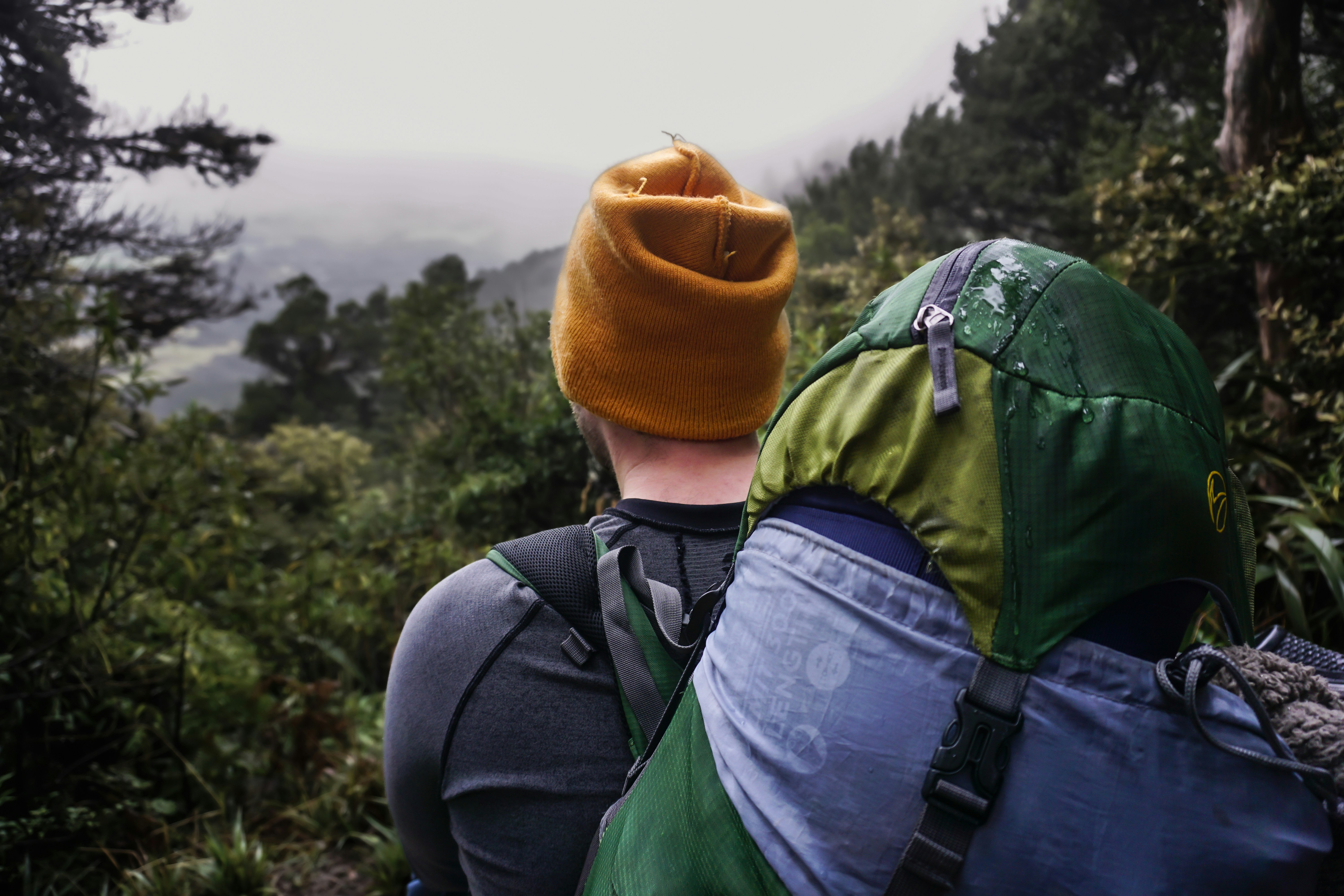 Photo by nature_photography_by_luca