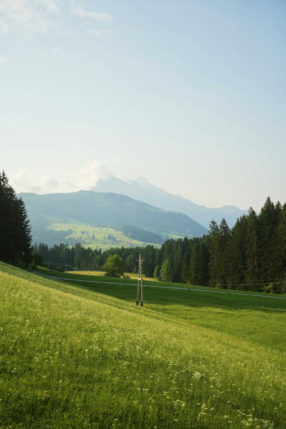 a grassy field with trees and mountains in the background