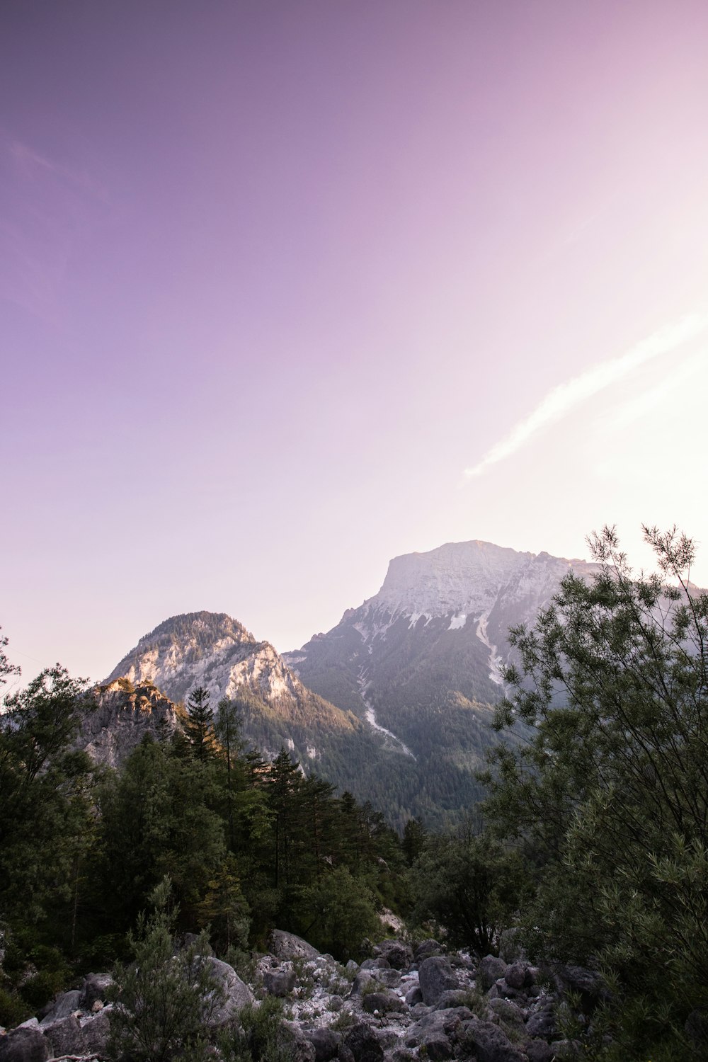 a view of a mountain range with trees in the foreground