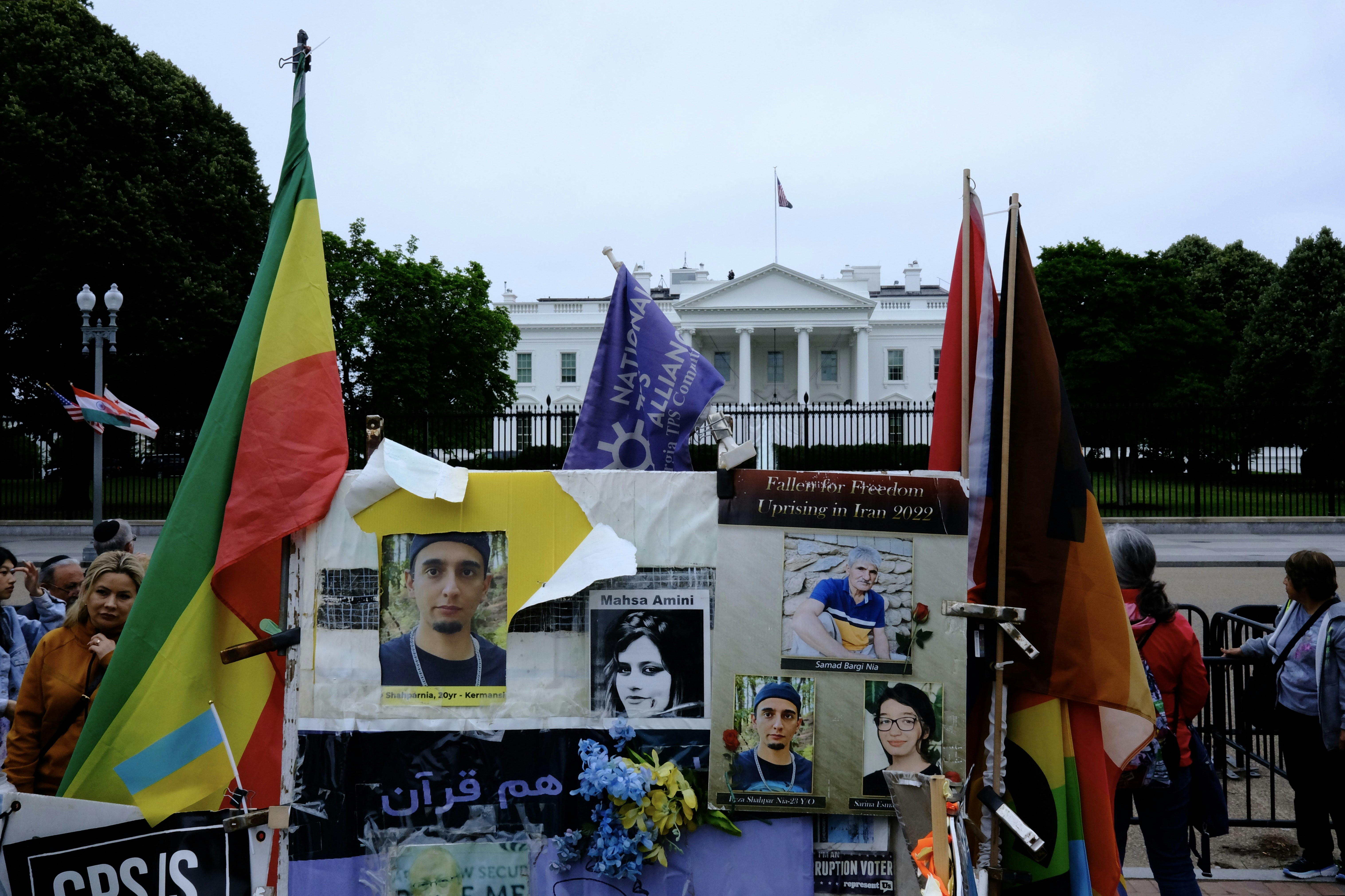 Diplomats and Protesters Forge Unlikely Alliances Amid Changing Times