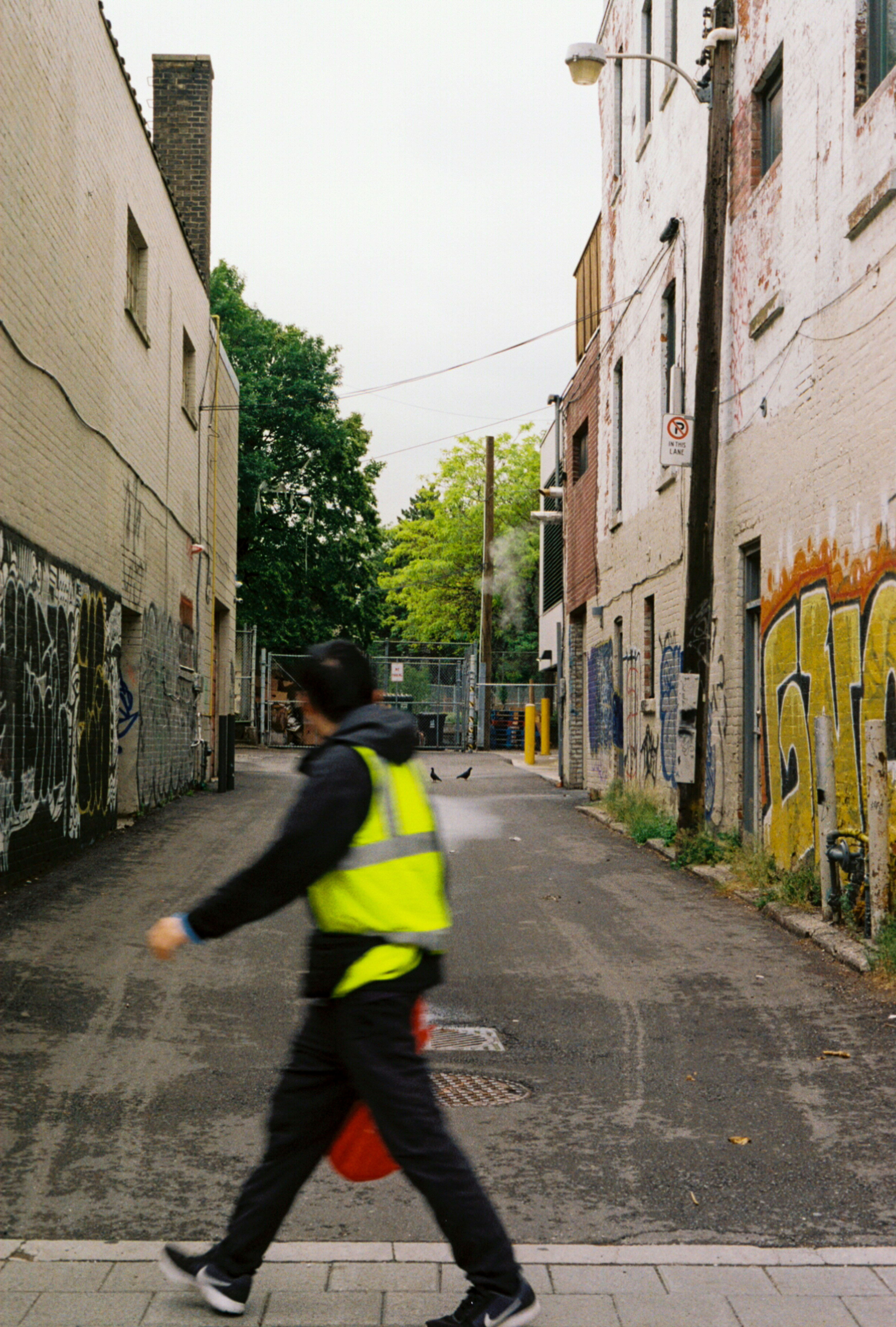 Photo by arielpineda36