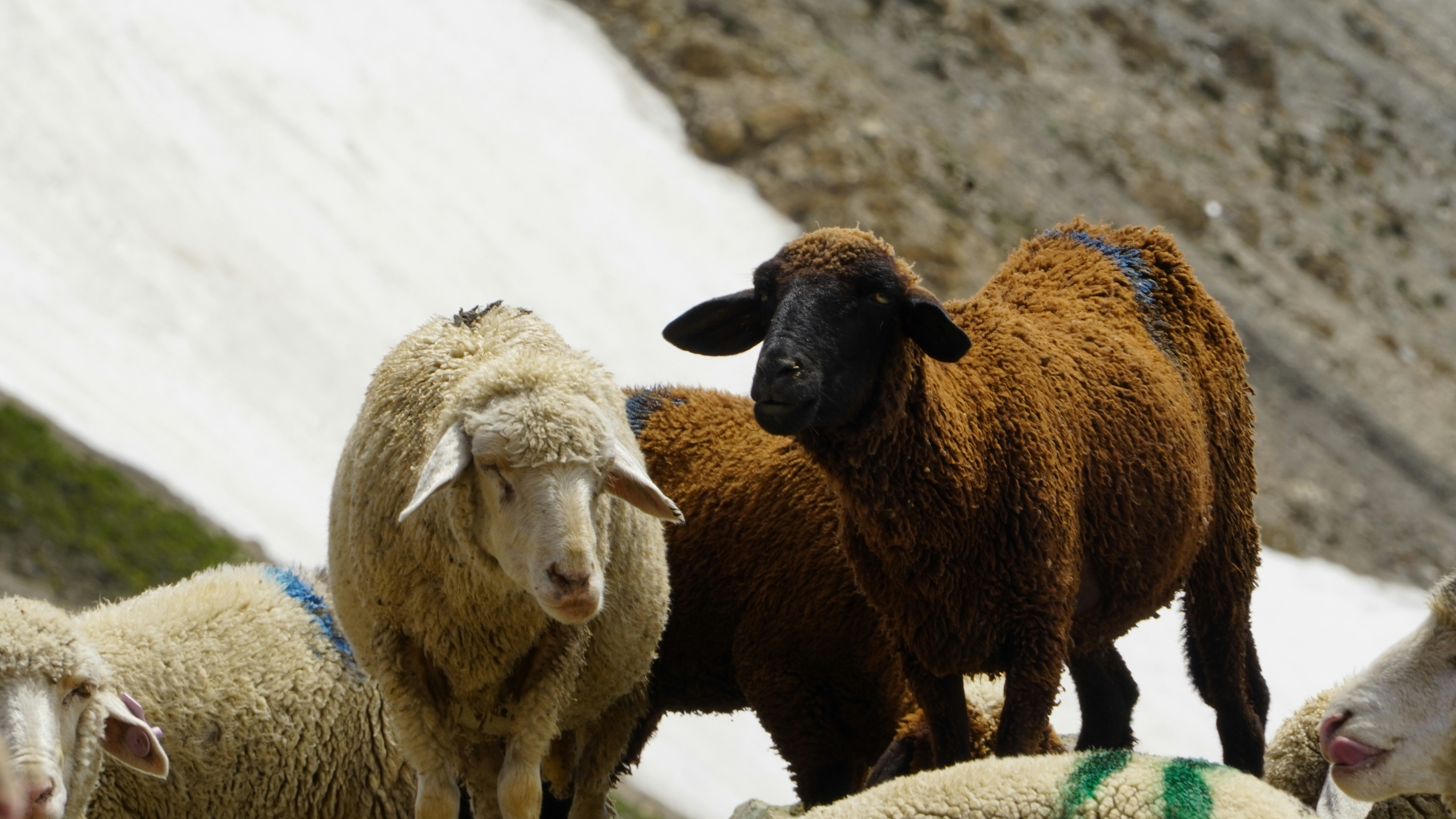 Photo by pavitra_baxi