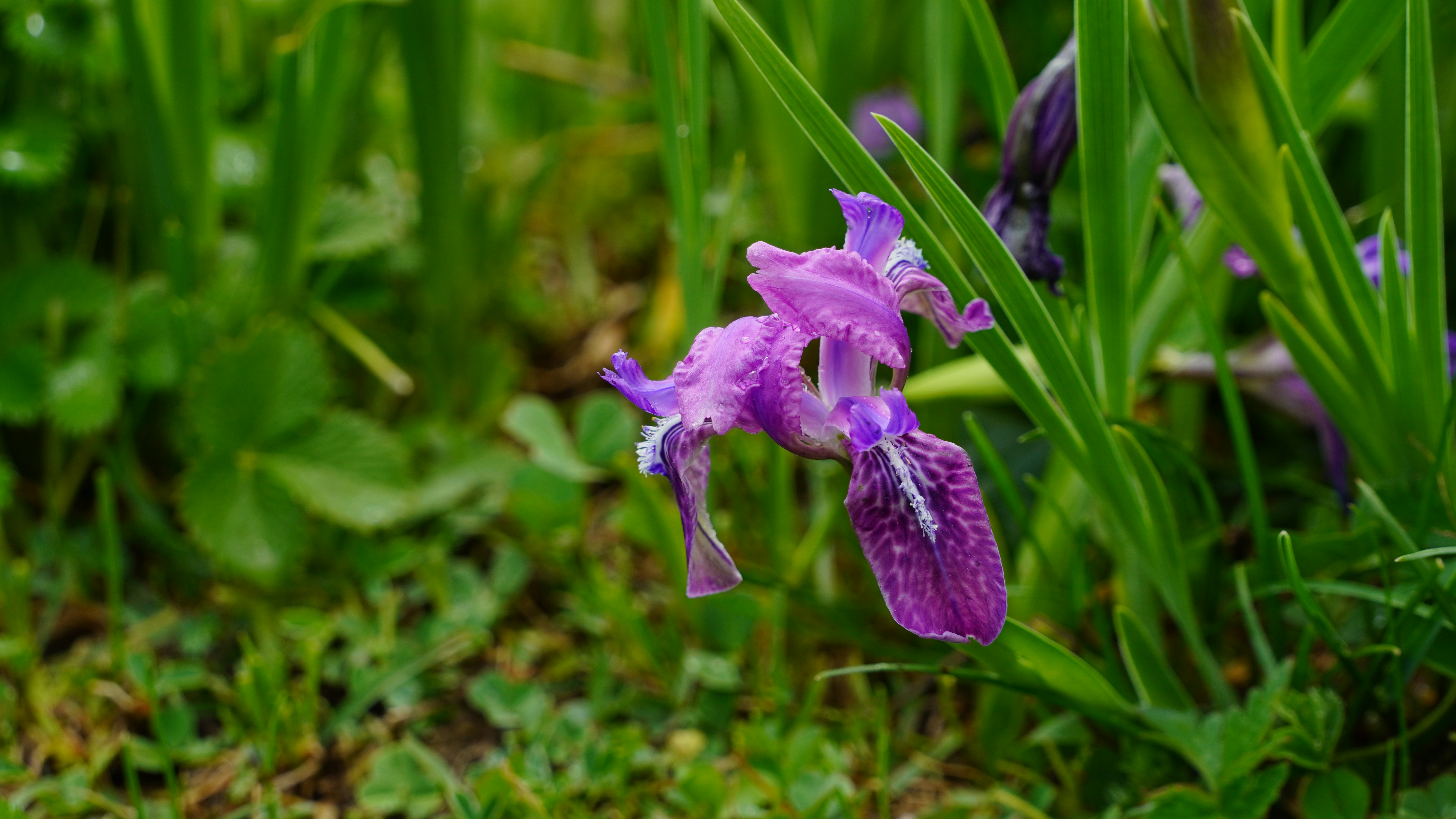 Photo by pavitra_baxi