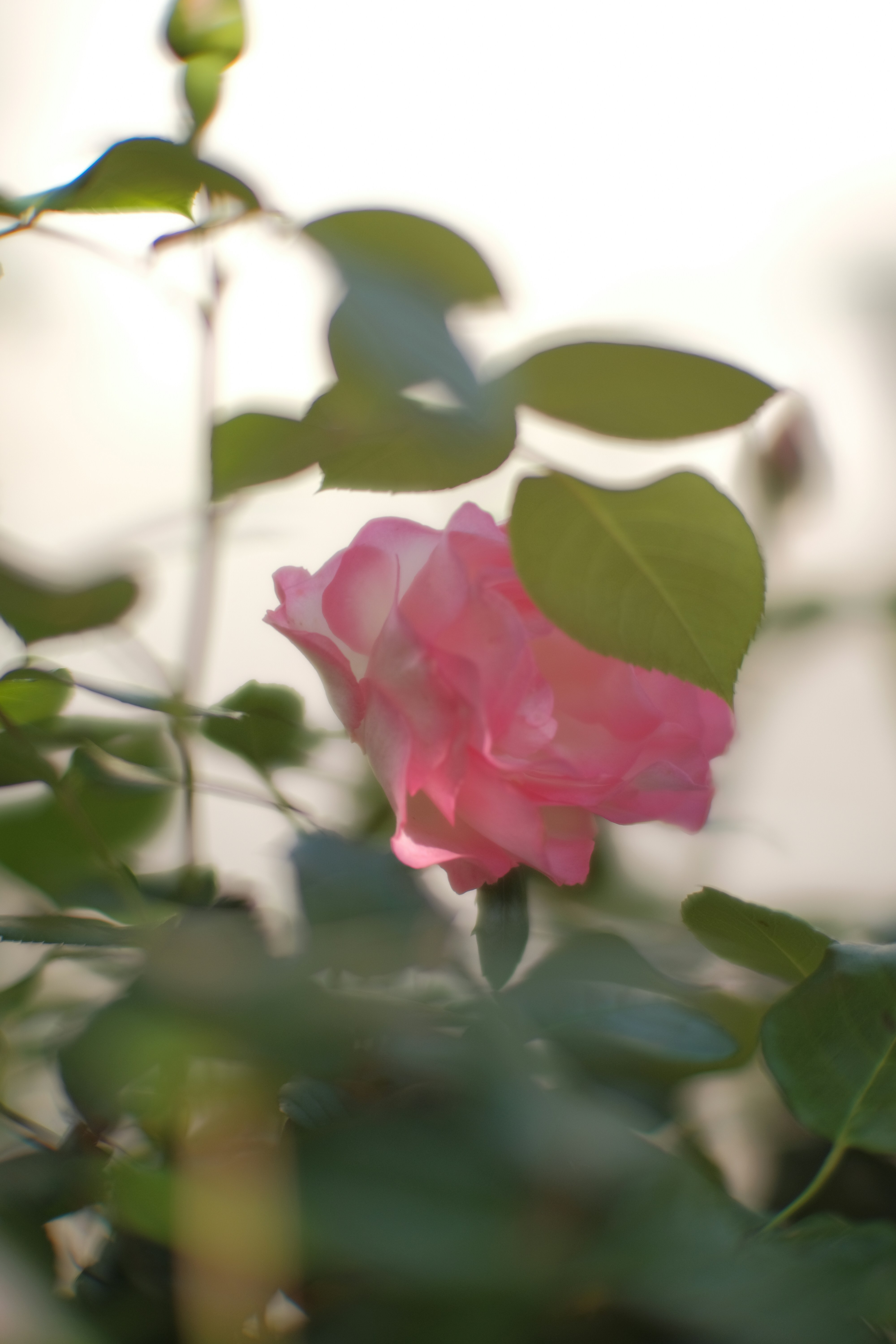 코코무드 (@cocomood11) • Instagram photos and videos, image size:3000x4500