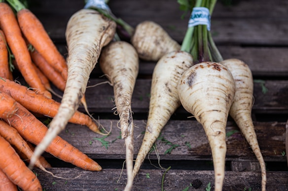 A collection of freshly harvested vegetables includes several bunches of bright orange carrots and a group of large, white parsnips with green tops, arranged on a wooden surface.