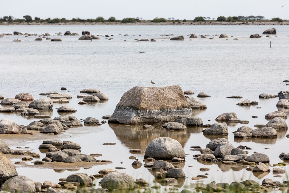 a large body of water surrounded by rocks