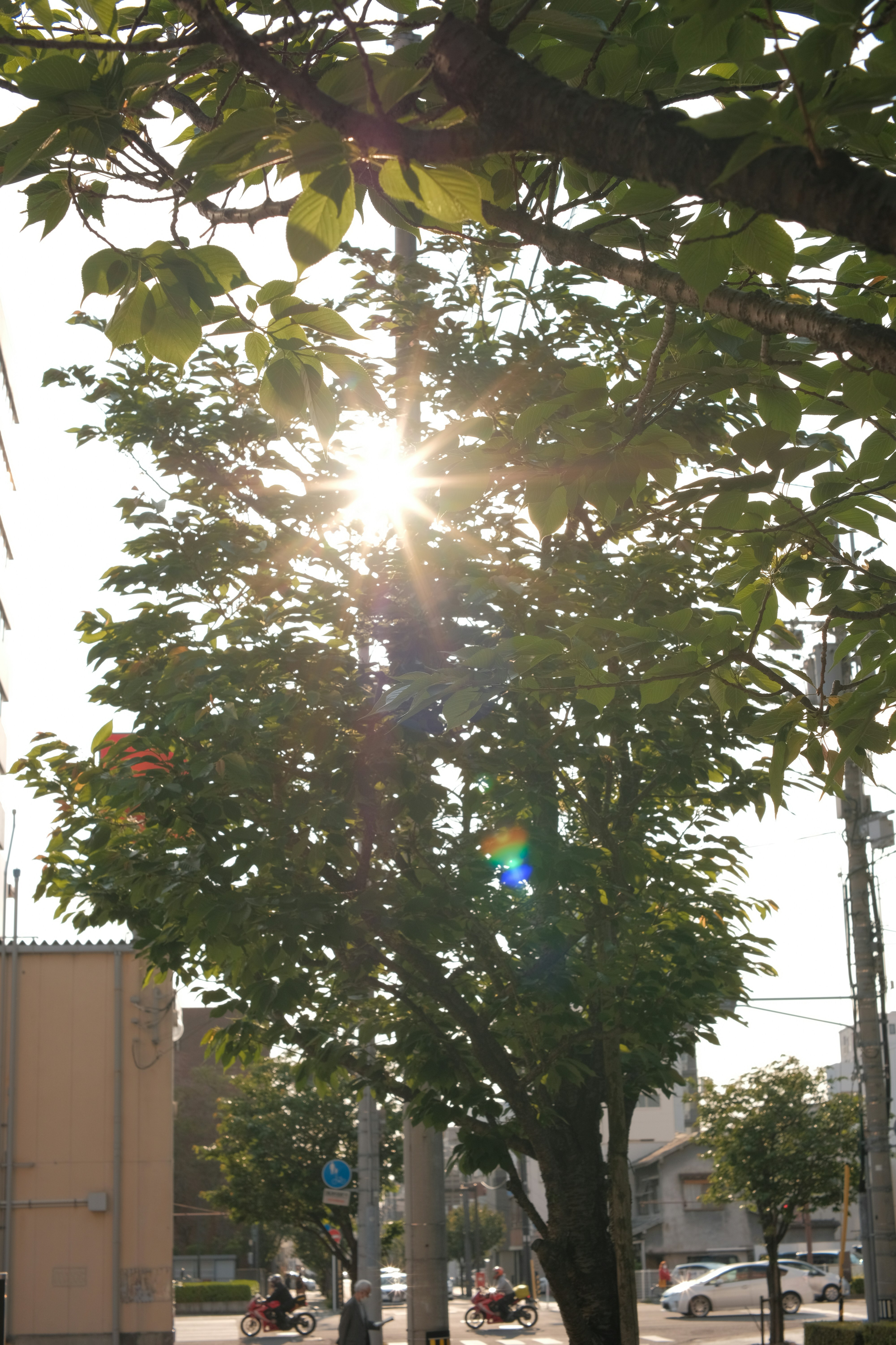 Photo by mak_jp