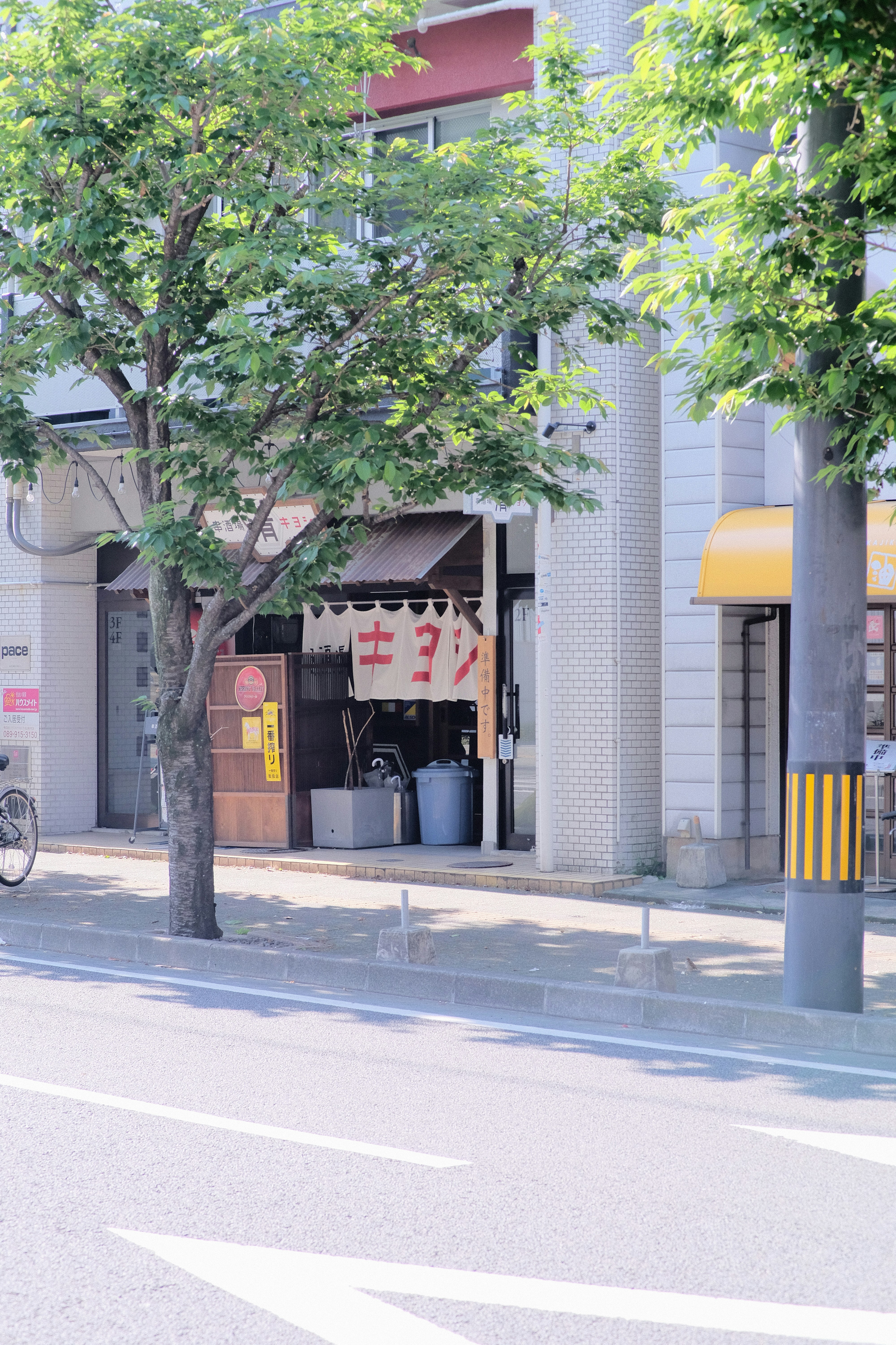 a man riding a bike down a street next to a tree