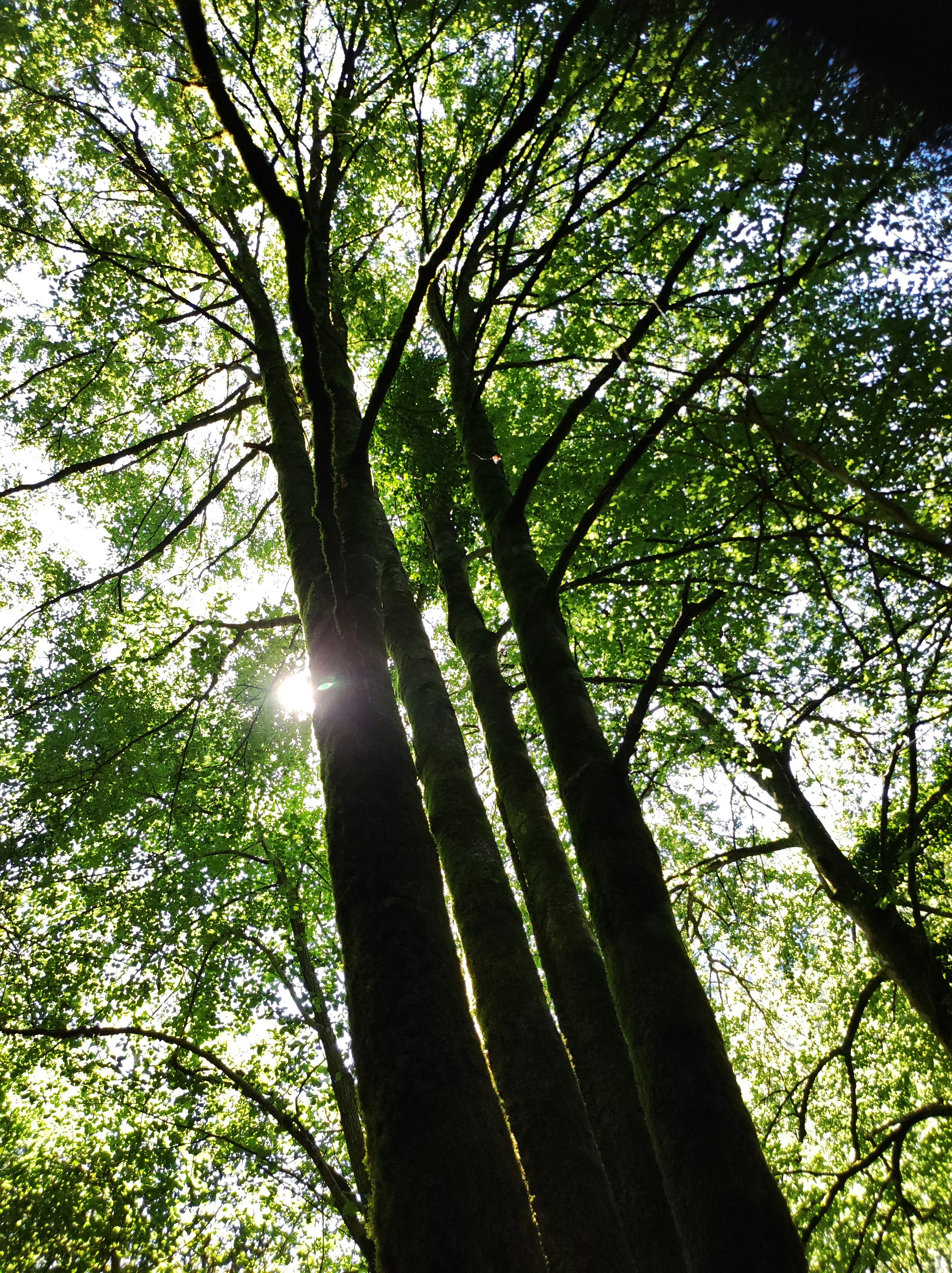 Photo by nicolas_barbault