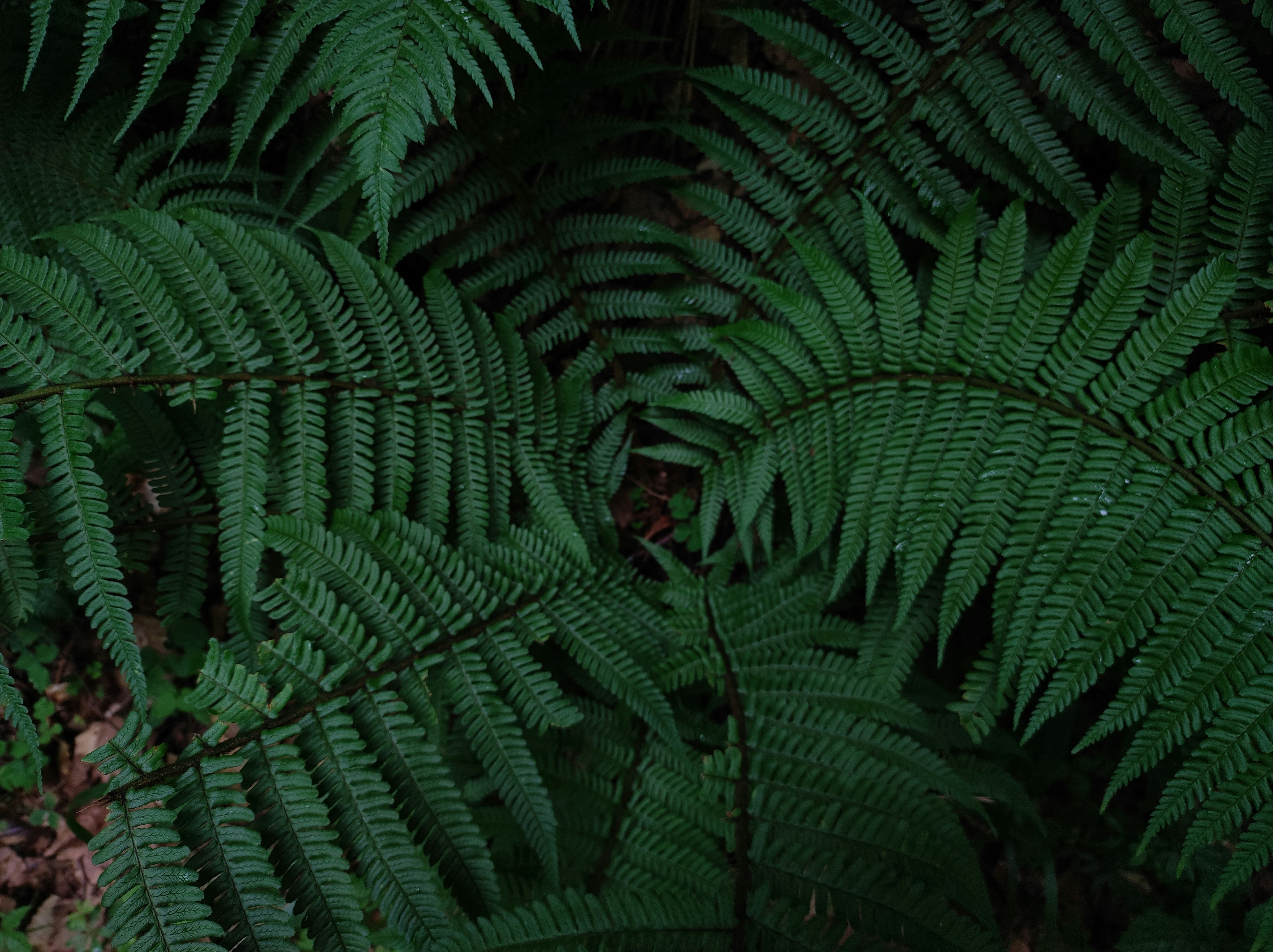 Photo by nicolas_barbault