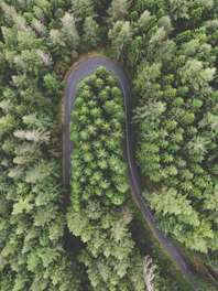 a winding road in the middle of a forest