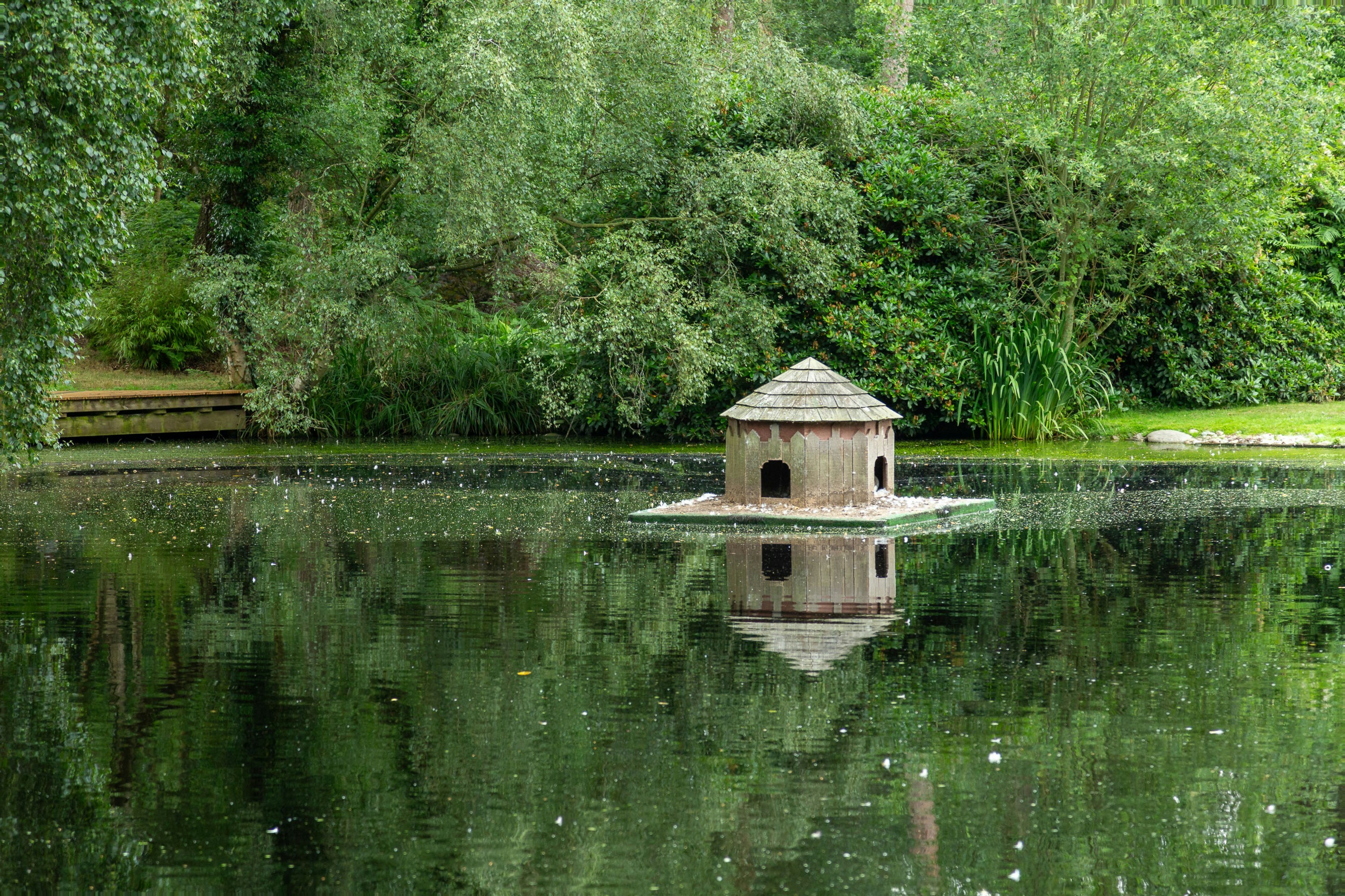 a bird house sitting in the middle of a lake