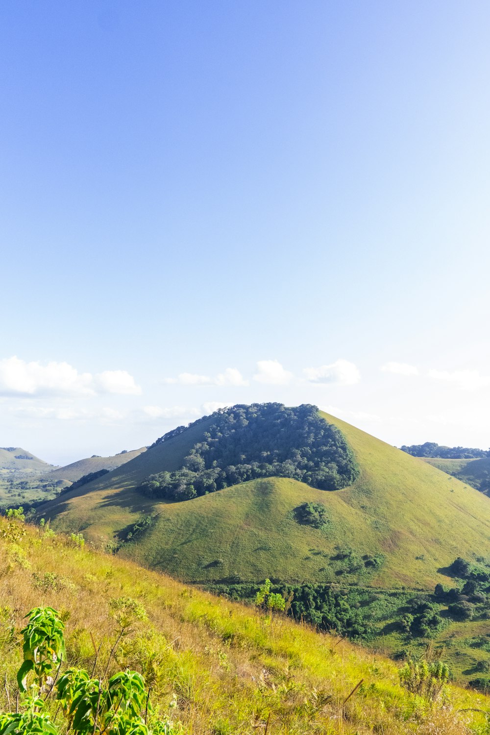 a grassy hill with a hill in the background