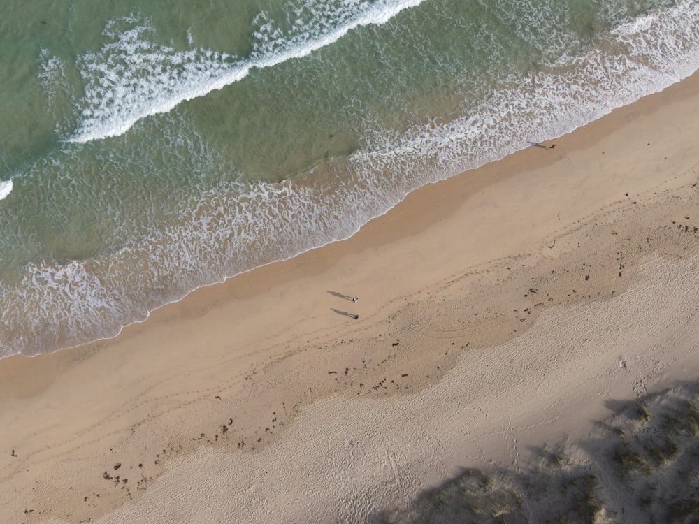 an aerial view of a beach and ocean