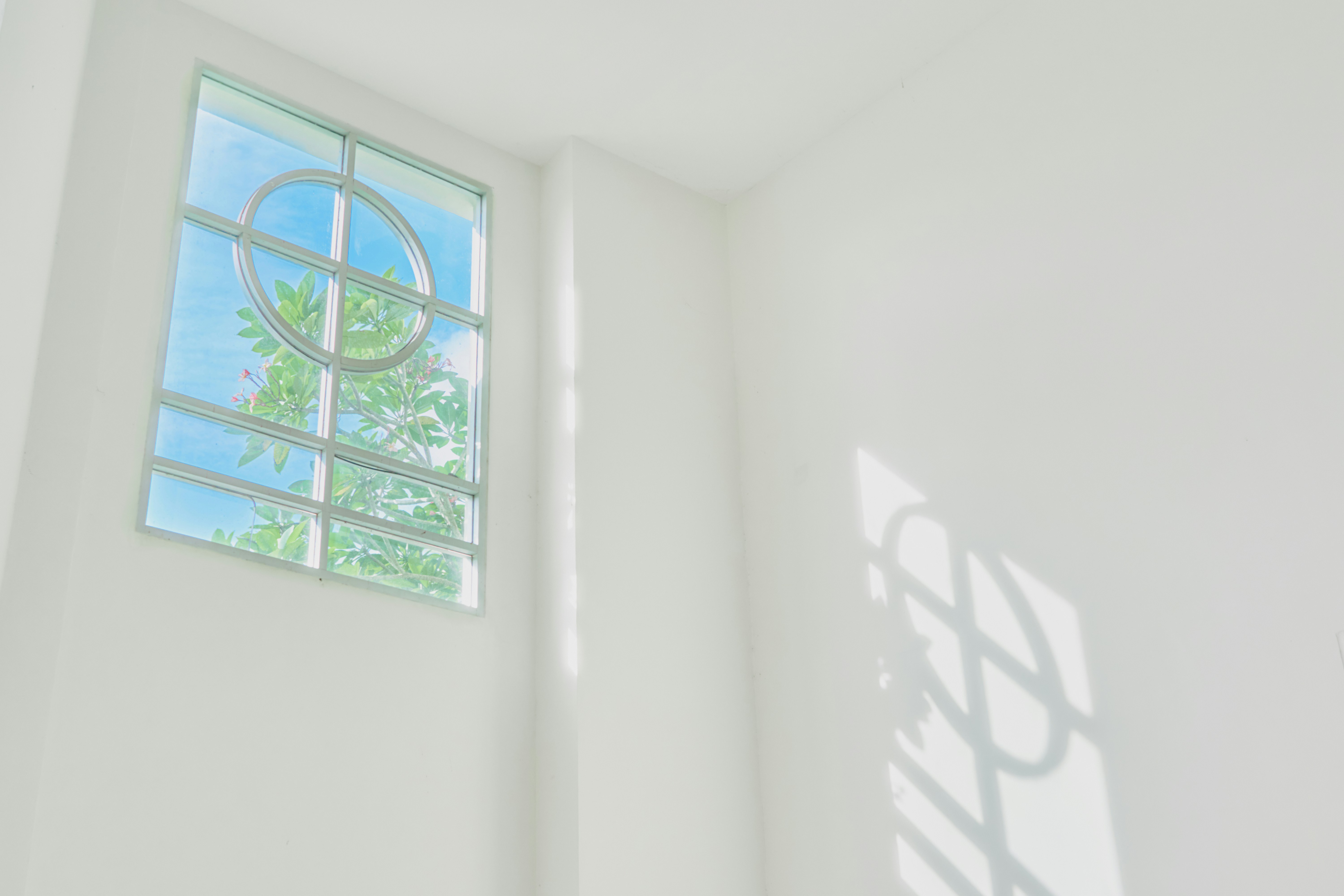 a window in a white room with a tree in the window