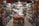A small, crowded shop filled with a variety of packaged food items. Shelves are stacked with nuts, snacks, and other edible goods in jars and plastic bags. The shop has a narrow aisle leading to the back where more products are visible, including colorful bags and boxes.