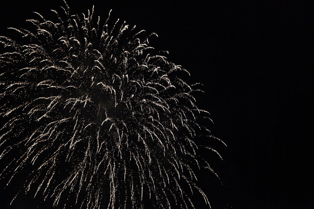 a large fireworks is lit up in the night sky