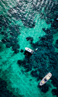 Overhead shot of a formation of electric boats cutting through calm turquoise waters near a rocky coastline.