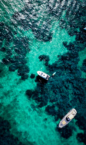 Overhead shot of a formation of electric boats cutting through calm turquoise waters near a rocky coastline.