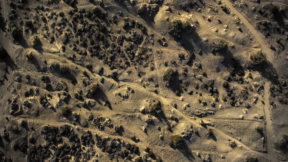 an aerial view of a barren area with trees
