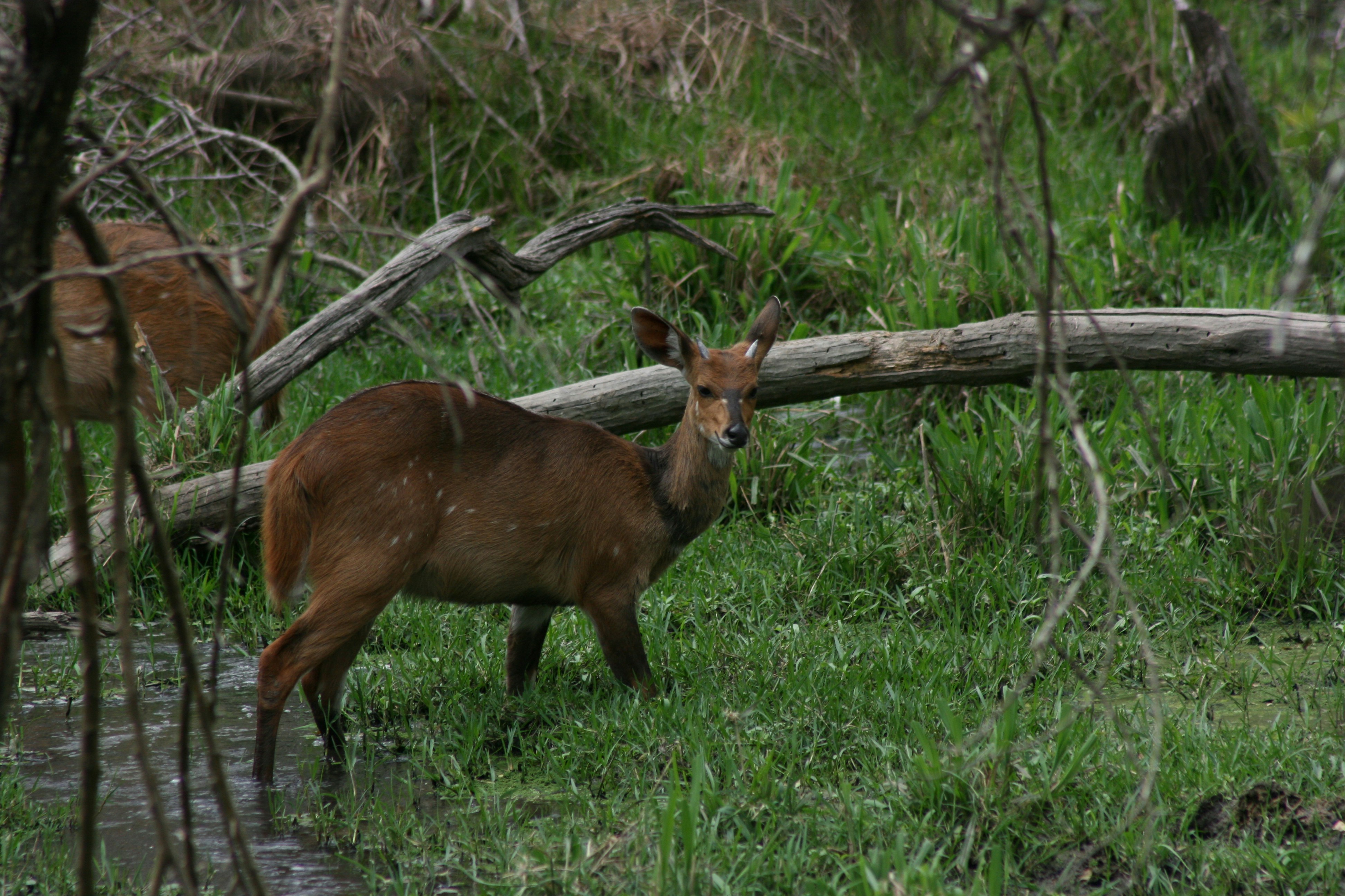 Photo by mitchbwilder