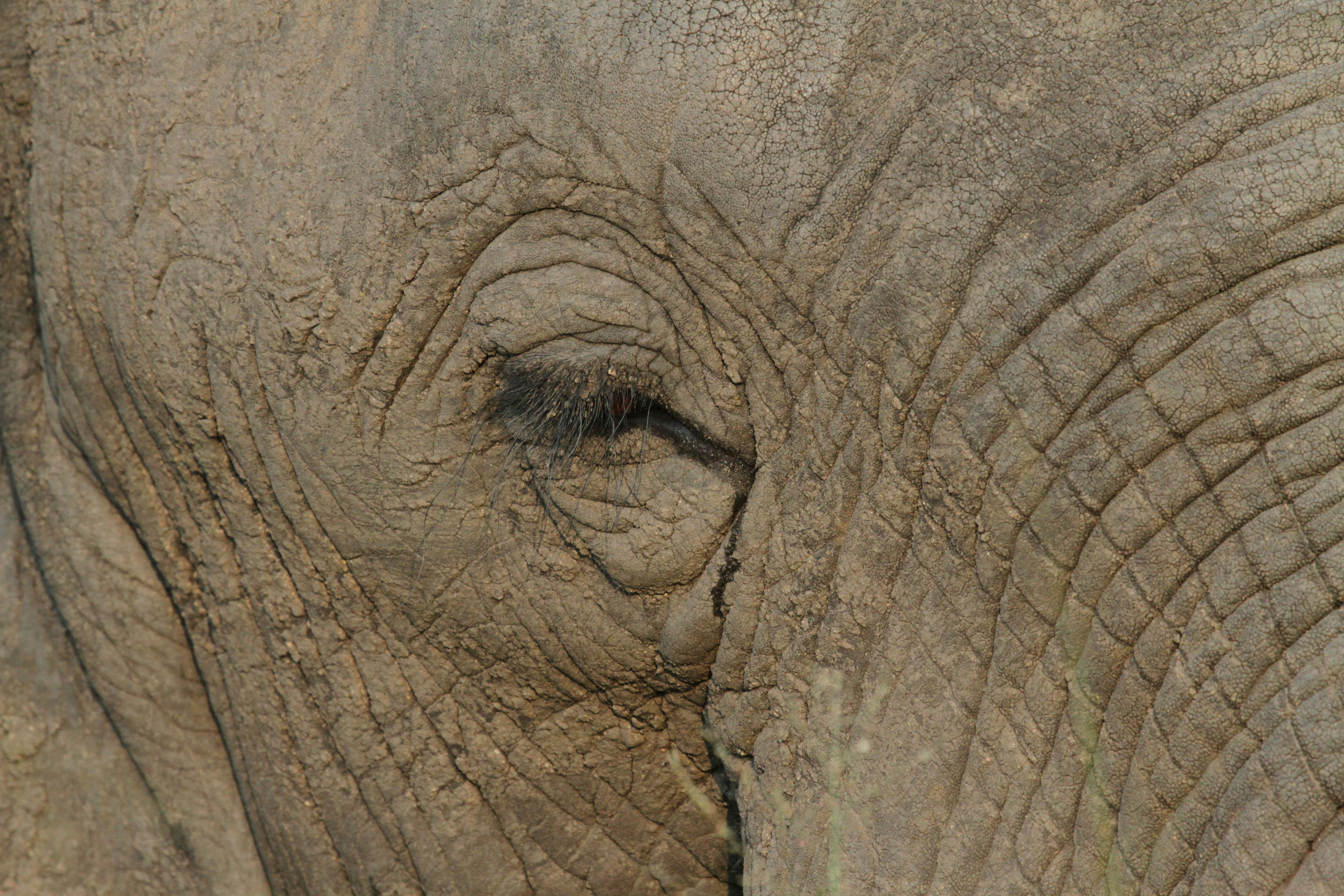 Photo by mitchbwilder