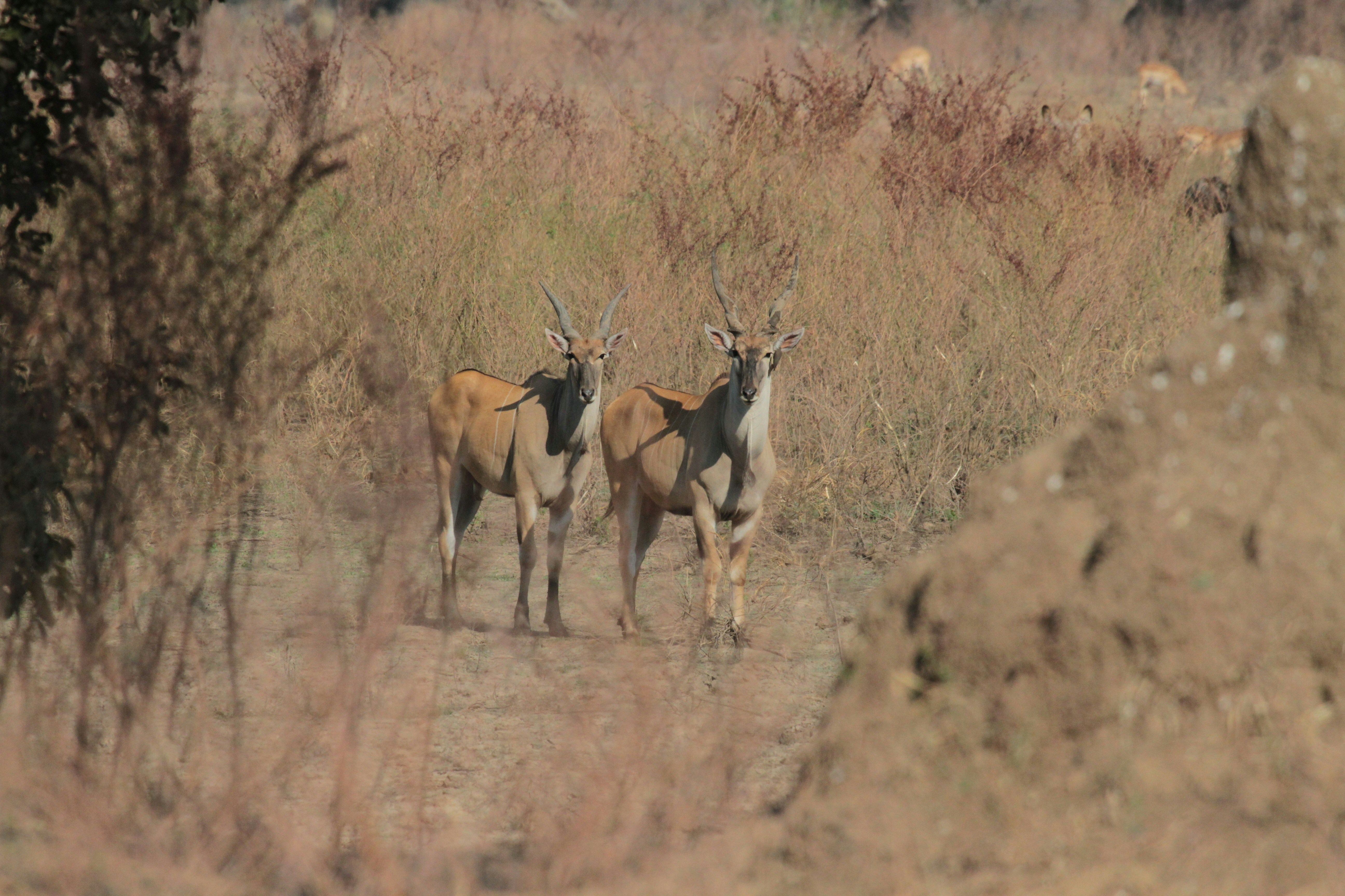 Photo by mitchbwilder