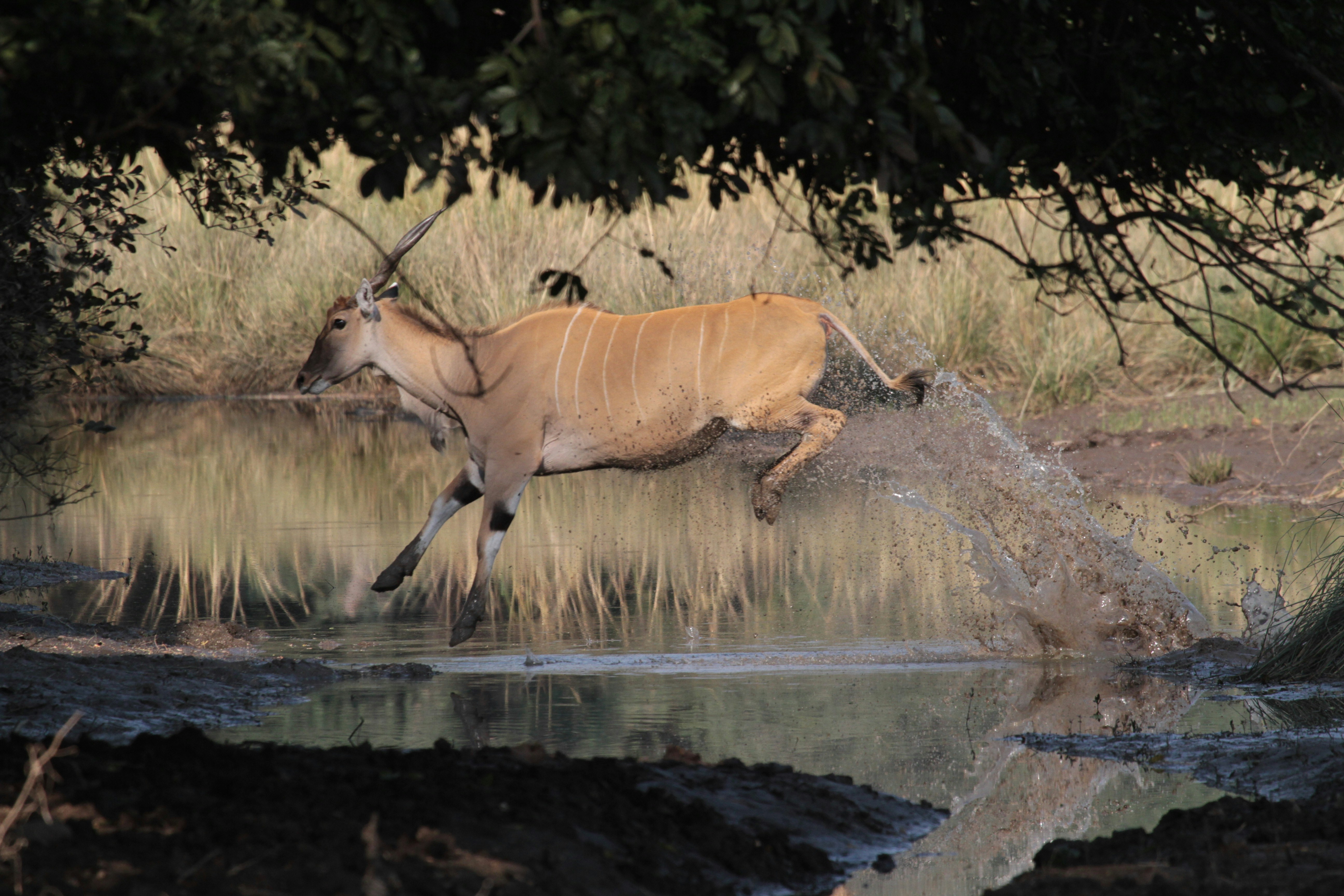 Photo by mitchbwilder