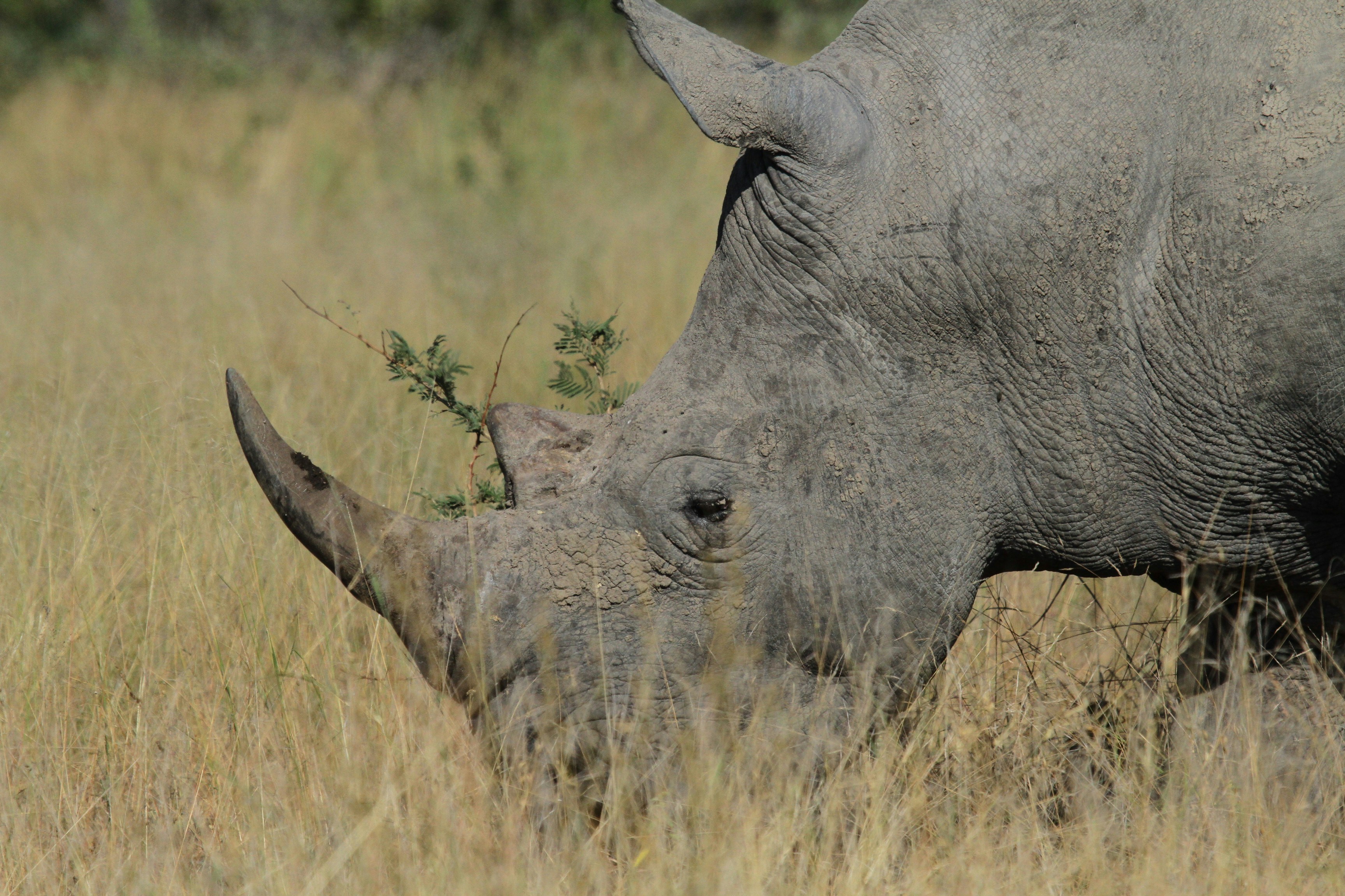 Photo by mitchbwilder